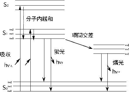 \includegraphics[width=10cm,clip]{Jablonski.eps}