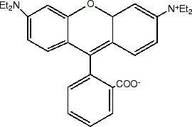 \includegraphics[width=6cm,clip]{rh.eps}