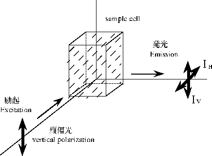 \includegraphics[width=10cm,clip]{theory1.eps}